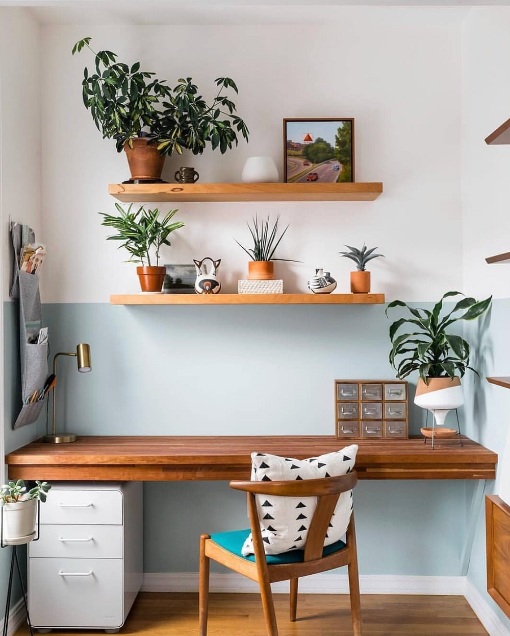 Top Air-Purifying Office Plants to Reduce Holiday Stress