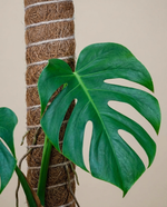 Coco Coir Climbing 45cm Totem