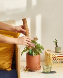 Coco Coir Climbing 45cm Totem