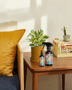 Essentials Care Duo: Food & Shine