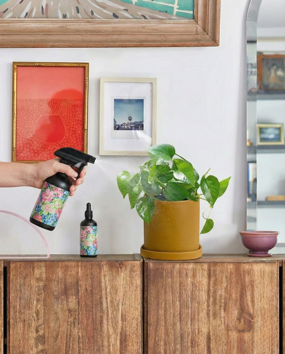 Essentials Care Duo: Food & Shine