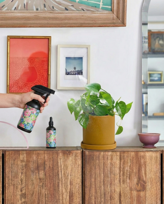 Essentials Care Duo: Food & Shine