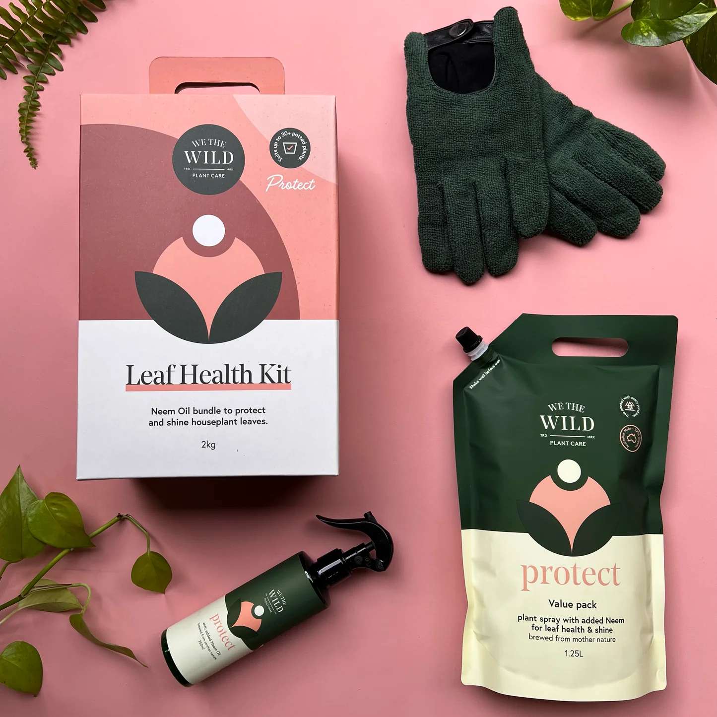 Leaf Health Kit - We The Wild