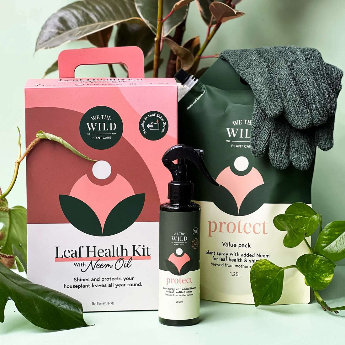 Leaf Health Kit - We The Wild