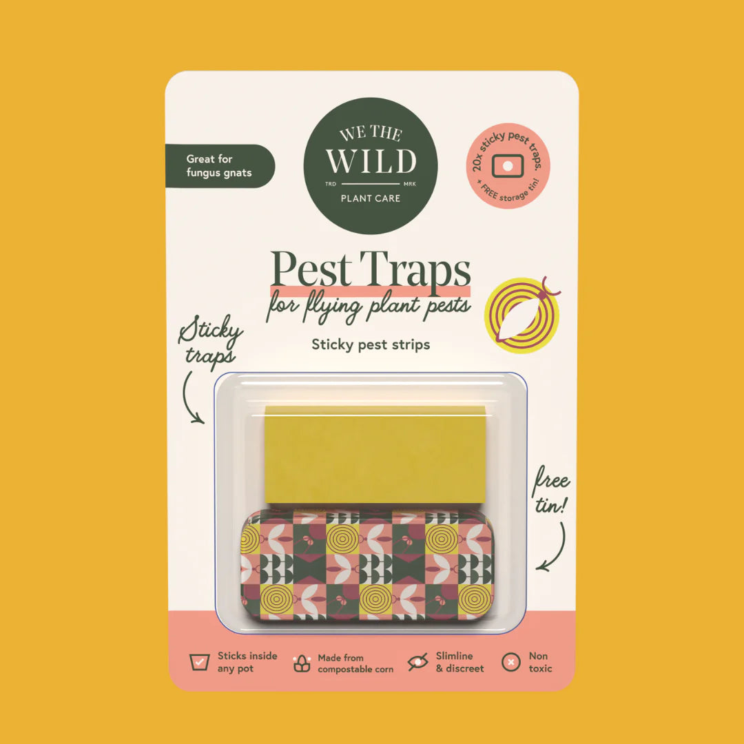Compostable Gnat Traps - We The Wild