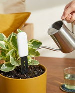 Smart Sensor: 4-in-1 Plant Monitor