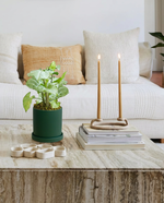 Syngonium Silver Fox